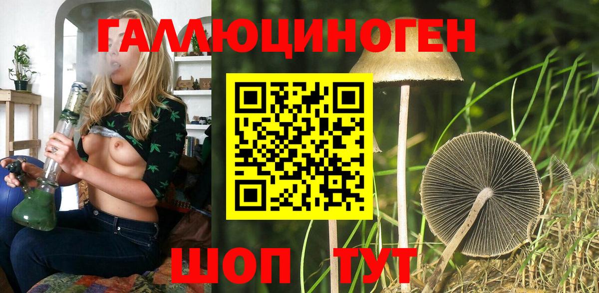 Великий Устюг  Галлюциногенные грибы MAGIC MUSHROOMS  Вход с VPN 