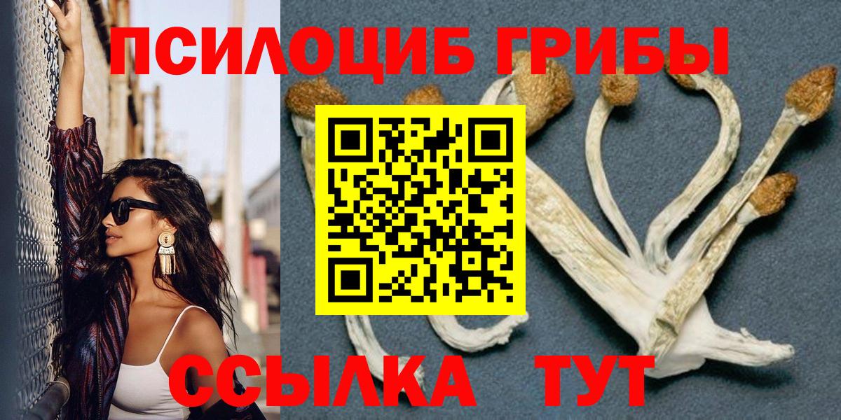 Псилоцибиновые грибы GOLDEN TEACHER Великий Устюг